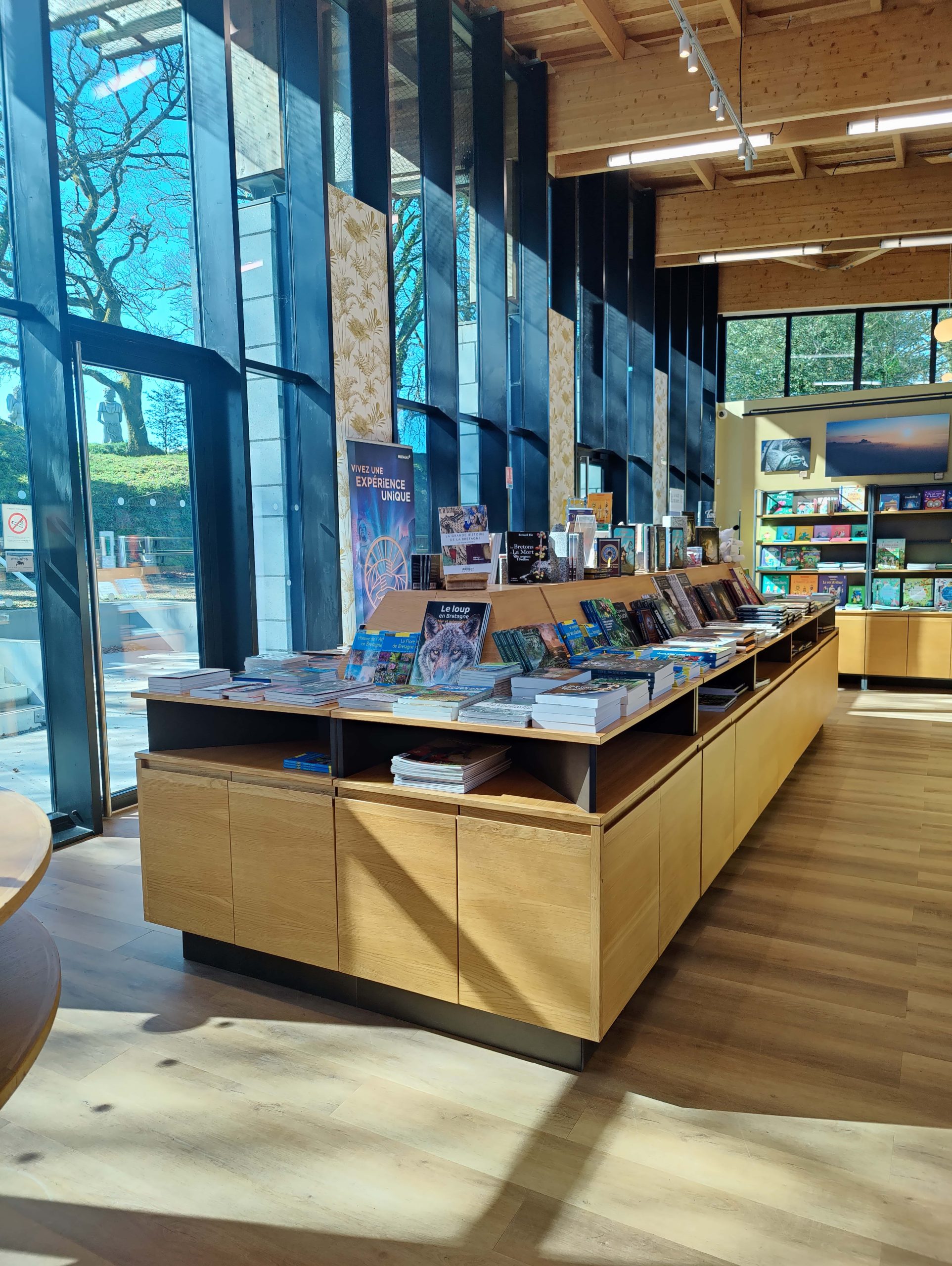 IMG20250331115914-min