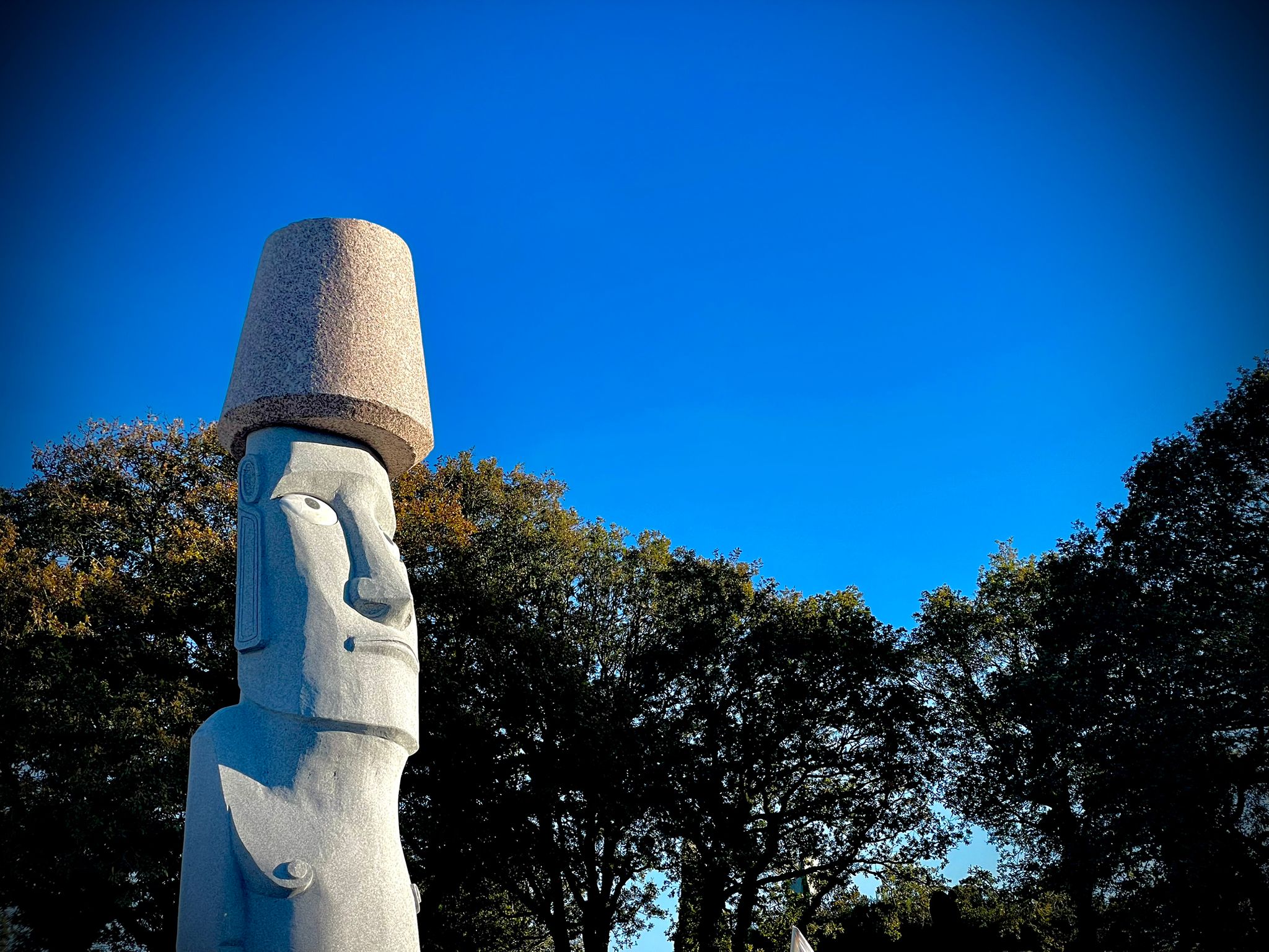 WhatsApp Image 2025-10-17 at 22.08.55