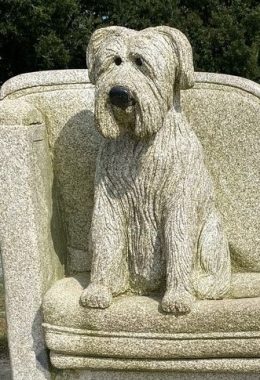 chien_Korribanc_Rasta